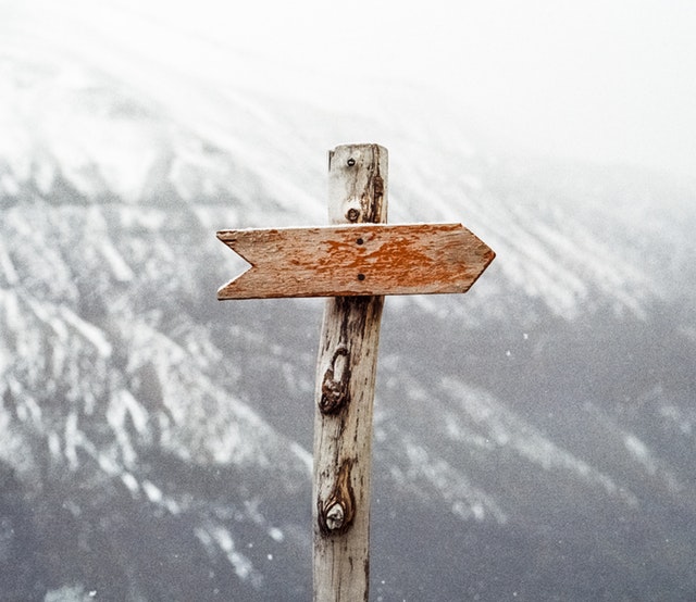 Growing Must Change Direction Growing Must Change Direction